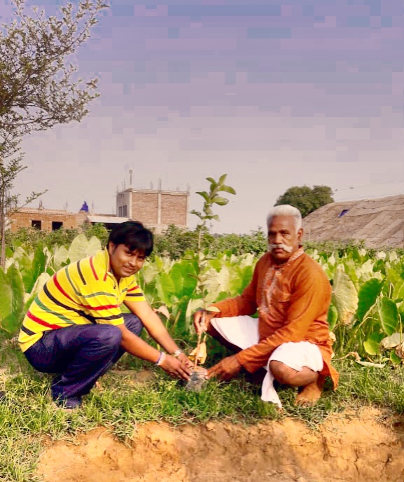 Plantation of kamalvihar Dharmsala Ambah